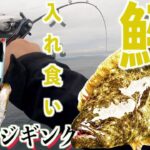 【前編】真夏のスロージギングで朝から根魚が爆釣！入れ食い状態の時間帯も。着ドン連発で最高にエキサイティング！