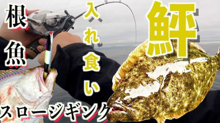 【前編】真夏のスロージギングで朝から根魚が爆釣！入れ食い状態の時間帯も。着ドン連発で最高にエキサイティング！