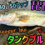 夏爆！めちゃくちゃバス釣れる日に当たった琵琶湖オカッパリ！キーパーラインコラボ中にタンクプルでバイト祭り！？高比重系ワームが得意なキャベツに新たな武器！【琵琶湖バス釣り】