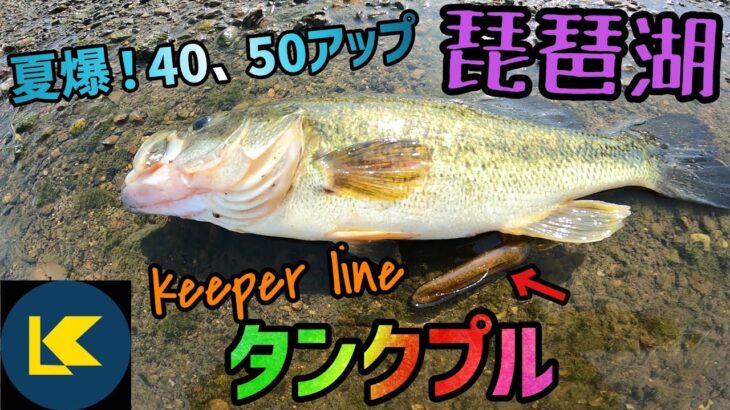 夏爆！めちゃくちゃバス釣れる日に当たった琵琶湖オカッパリ！キーパーラインコラボ中にタンクプルでバイト祭り！？高比重系ワームが得意なキャベツに新たな武器！【琵琶湖バス釣り】