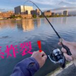 【バス釣り】夏の釣れるルアー🌻　琵琶湖　瀬田川