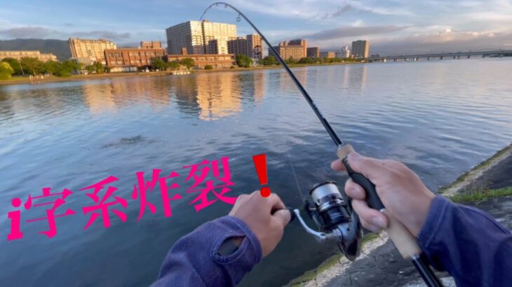 【バス釣り】夏の釣れるルアー🌻　琵琶湖　瀬田川
