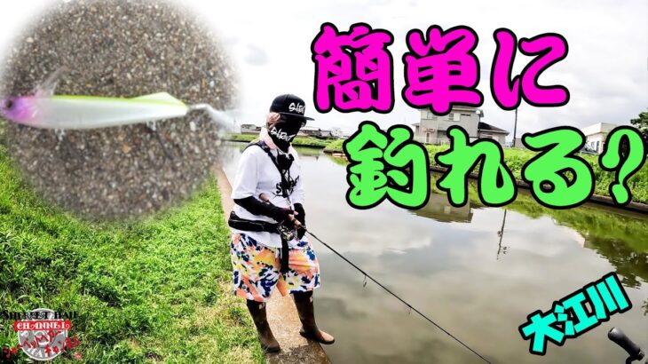 巻くだけで簡単に釣れるのか・・・【大江川】【バス釣り】