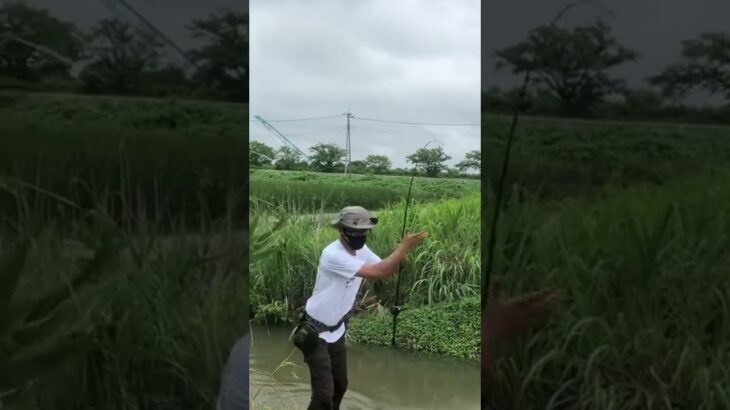 埼玉バス釣り　この池なんて名前？知ってる人いますか？　　　埼玉バス釣りポイント　バス釣り　不審者