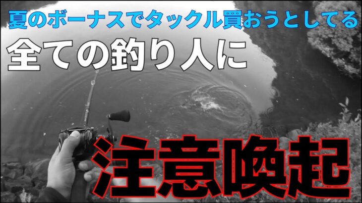 夏のボーナスでタックル買おうとしてる、全ての釣り人へ注意喚起。