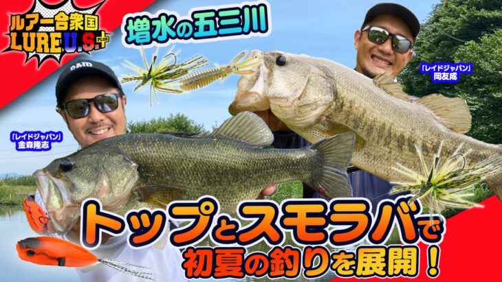 【ルアー合衆国プラス】増水の五三川トップとスモラバで初夏の釣りを展開！