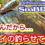 yasu 猛暑デカイの釣らせて！【バス釣り】川スモールマウスバス2022年7月SmallmouthbassFishing