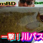 yasu 7月川バス釣り【スモールマウスバス】ドリフトミノー2022年7月SmallmouthbassFishing