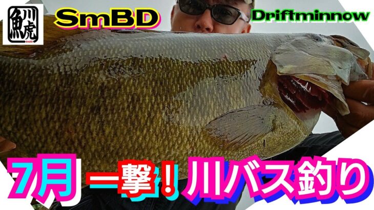 yasu 7月川バス釣り【スモールマウスバス】ドリフトミノー2022年7月SmallmouthbassFishing