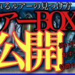 夏に釣れるルアー。1軍ルアーBOXを公開