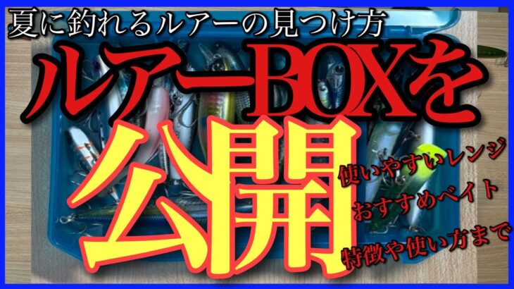 夏に釣れるルアー。1軍ルアーBOXを公開