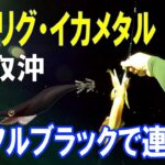 【オモリグ・イカメタル】初心者2人で鳥取沖に白イカ釣りに行ってきました。（後編）