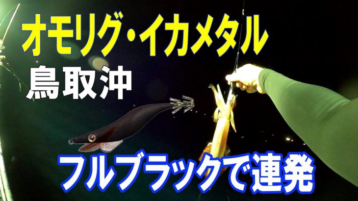 【オモリグ・イカメタル】初心者2人で鳥取沖に白イカ釣りに行ってきました。（後編）