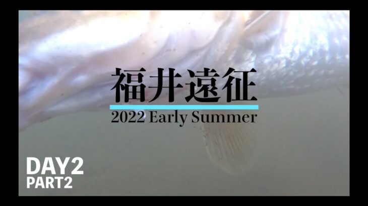 2022年初夏、福井遠征の旅。編【シーバス遠征 DAY2 PART2】