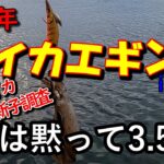 【2022年秋イカエギング#01】能登外浦でアオリイカの新子調査！今年の状況はどうなん？