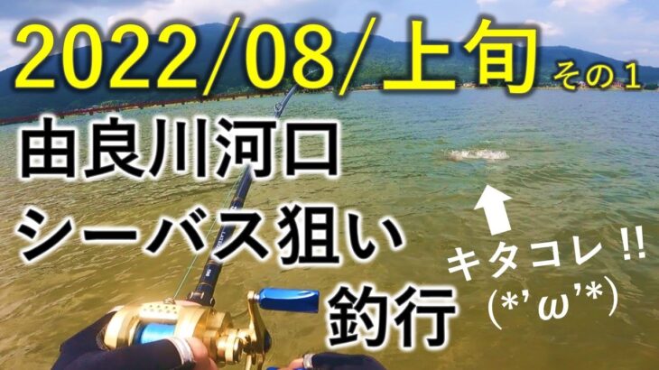 2022年8月上旬 舞鶴・由良川　 シーバス狙い ルアー釣行（その１）