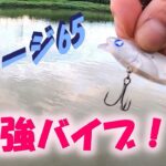 【佐渡の河口釣り】最強バイブを最強メソッドで操り最高の魚を獲る！〈2022年8月下旬〉