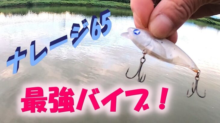 【佐渡の河口釣り】最強バイブを最強メソッドで操り最高の魚を獲る！〈2022年8月下旬〉