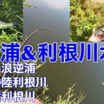 【スピナーベイト】霞ヶ浦&利根川水系バス釣りポイント流入河川　北浦　鰐川　常陸利根川　横利根川　前川2022年8月1日