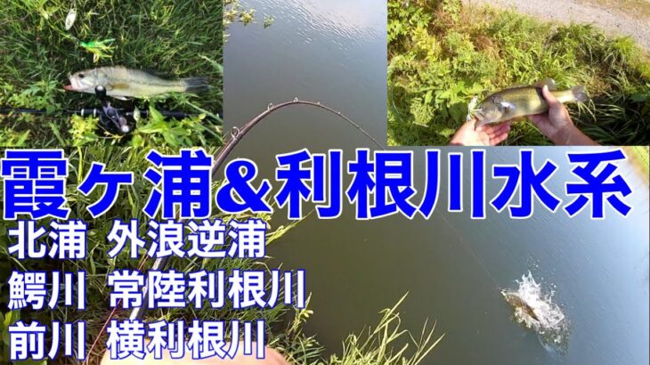 【スピナーベイト】霞ヶ浦&利根川水系バス釣りポイント流入河川　北浦　鰐川　常陸利根川　横利根川　前川2022年8月1日