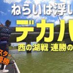 琵琶湖内湖西の湖マスターオープン戦 2連勝の全記録2022.7.31