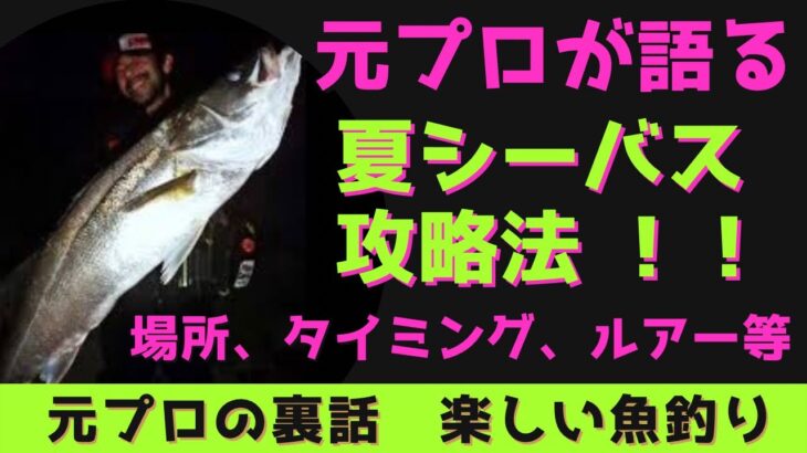 【ルアーシーバス】夏シーバス釣れてる？シーバスを見失った時の考え方　ポイント　おすすめルアー　おすすめ釣り方2選　6月7月8月