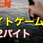 【シーバス釣り】東京湾奥、ルアーでシーバスを狙ったら2バイト。8月、夏のナイトゲームの様子。