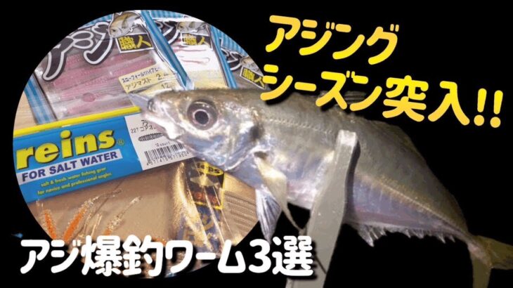 アジングハイシーズン直前！！アジが釣れる最強ワーム3選！！大定番爆釣ワームを紹介します！