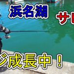 【#38】浜名湖でサビキ釣りして釣れたアジが大きくなってた♪