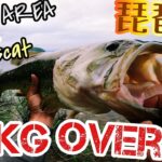 琵琶湖オカッパリで3kgバス！カバースキャットを使って琵琶湖北湖東岸のロックエリアを攻略！琵琶湖バス釣りでもはや最強！？琵琶湖おかっぱり人気ポイントで55㎝オーバーの特大夏バス【琵琶湖バス釣り】