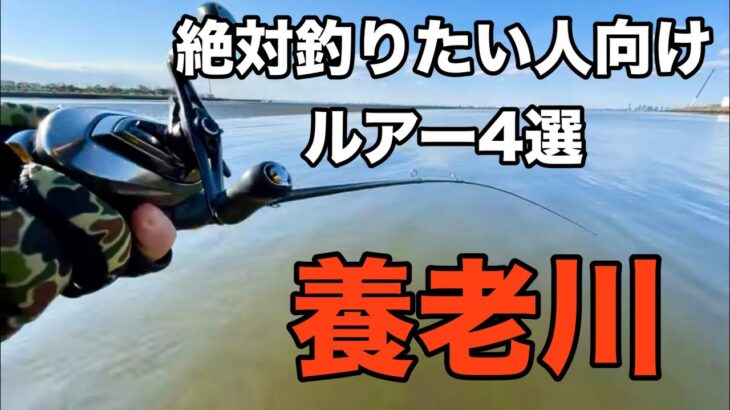 【養老川】本気で釣れるルアー4選 Ver.タカナシ