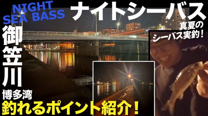 【シーバス釣り】福岡県 博多湾シーバス「御笠川」の上流部から下流部まで5つのポイント紹介！-Fukuoka seabass fishing-