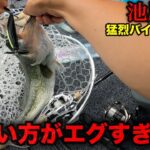 バス釣り人生で一番衝撃的な食い方でした…。しかも50アップやしたまらんw【池原ダム】【バス釣り】