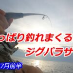 [7月前半いわき]サーフヒラメ:やっぱり釣れるよね!ジグパラサーフ