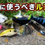 【バス釣り】8月おすすめハードルアーを紹介！使い方・使い所や真夏・急な雨での変化のコツを解説してみた【夏のバス釣り】【猛暑】【濁り】【増水・減水】