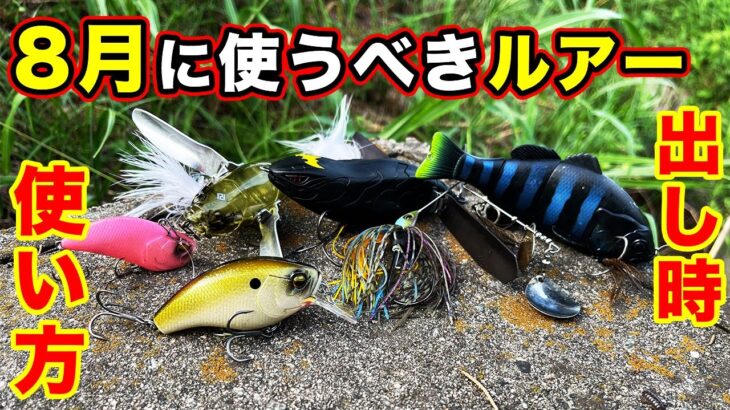 【バス釣り】8月おすすめハードルアーを紹介！使い方・使い所や真夏・急な雨での変化のコツを解説してみた【夏のバス釣り】【猛暑】【濁り】【増水・減水】