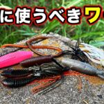 【バス釣り】8月おすすめワーム!!使い方・使い所や夏だけでない最近習得した方法を解説してみた【真夏】【夏のバス釣り】【猛暑】