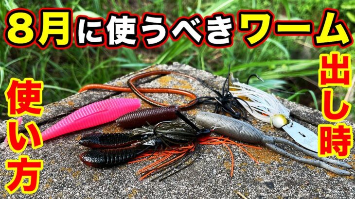 【バス釣り】8月おすすめワーム!!使い方・使い所や夏だけでない最近習得した方法を解説してみた【真夏】【夏のバス釣り】【猛暑】