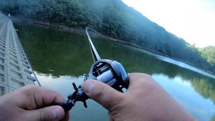 【夏のバス釣り】釣れる条件とルアー選びを実践したみた結果…【8月のバス釣り】【真夏】【ネコリグ】【クランクベイト】【ジグヘッド】