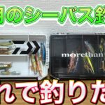 【ルアー】8月のシーバス釣りで使うルアーを紹介！夏の河川に特化したデイゲーム、ナイトゲームのタックルボックスをお見せします