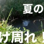 【8月霞水系】夏の霞を駆け周ってバスを釣る❗️