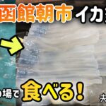 札幌▶函館の旅⑤函館朝市でイカ釣り体験！釣ってその場でさばいて食べる！夕食探し＆帰宅でトラブル発生！？【活イカ】【ラッキーピエロ】【ハセガワストア】【ハンバーガー】【焼き鳥弁当】#82