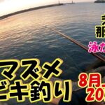 茨城県　那珂湊港　サビキ釣り　8月上旬　朝マズメ　2022