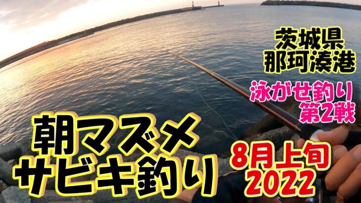 茨城県　那珂湊港　サビキ釣り　8月上旬　朝マズメ　2022