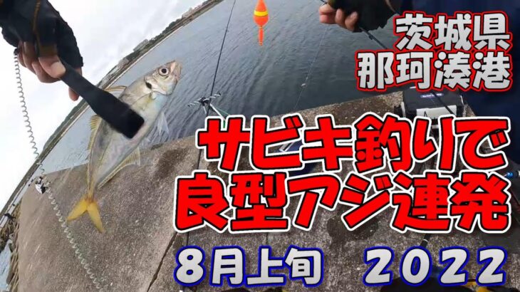 茨城県　那珂湊港　サビキ釣り　8月上旬　良型アジが連発　2022