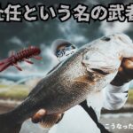 【バス釣り】AKチャンク　ギャップジグの組み合わせがいい感じ　五三川　水路