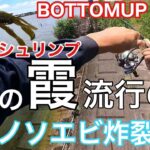 【夏　霞ヶ浦】最近流行ってるノソノソエビをやったら連発したよ！【BOTTOMUP ハリーシュリンプ3インチ】