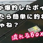 【シーバス聖地巡礼！？】BlueBlue高橋さんが爆釣した場所行ったら色々と大変だった。