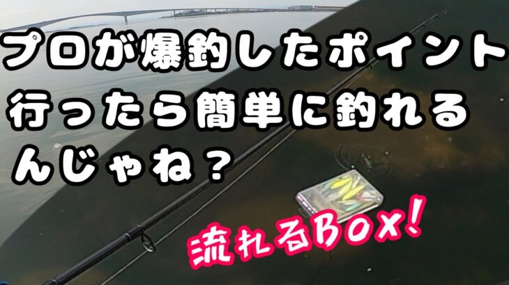 【シーバス聖地巡礼！？】BlueBlue高橋さんが爆釣した場所行ったら色々と大変だった。