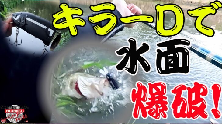 キラーDで水面爆破炸裂！【琵琶湖遠征】【おかっぱり】【バス釣り】【レイドジャパン】